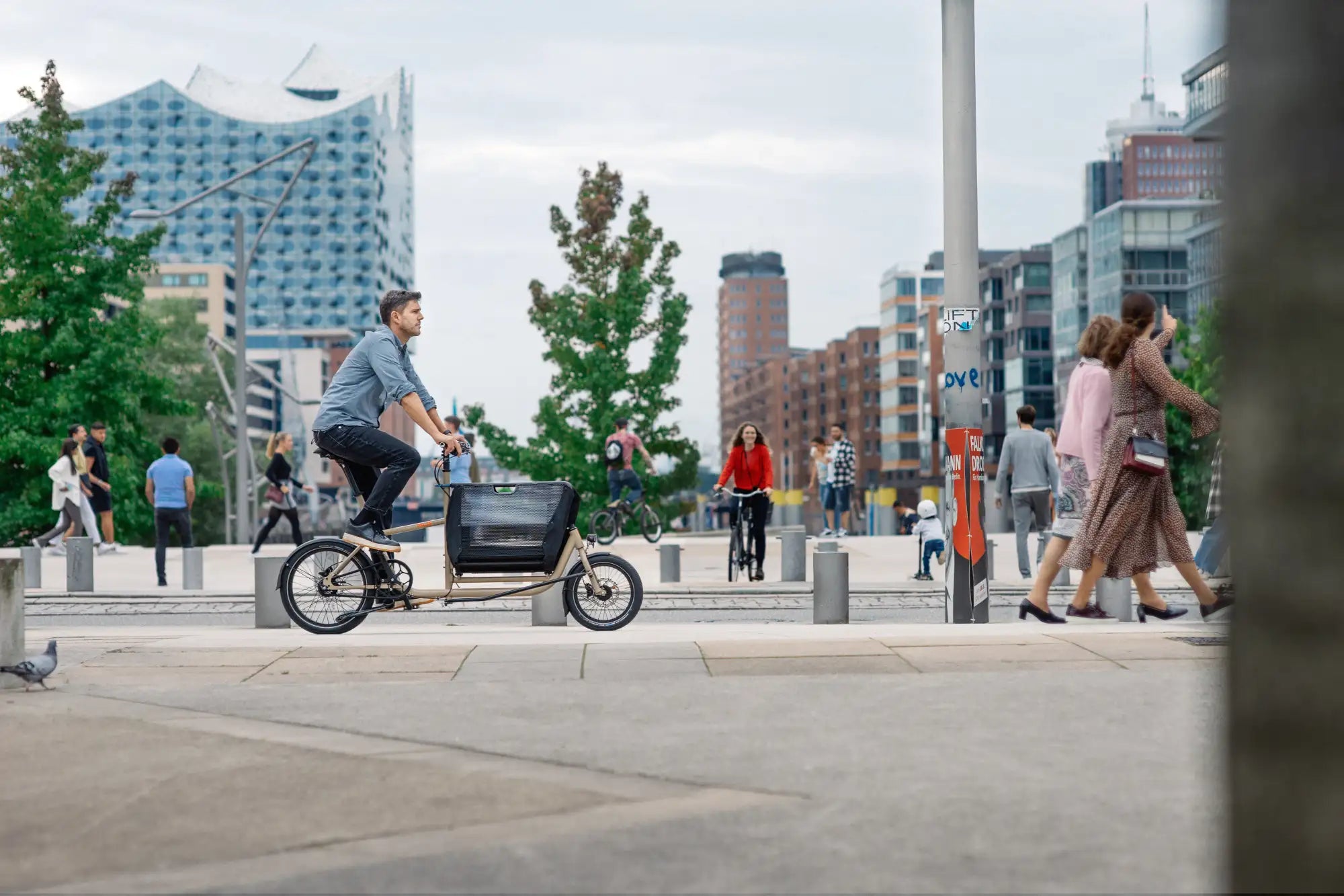 Fahrrad XXL  Cycle-Lounge