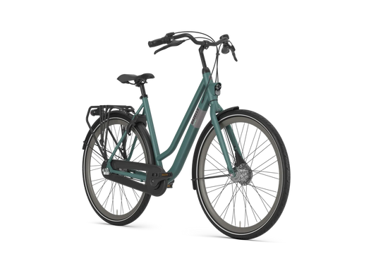 Gazelle Esprit L – Damenrad mit Nabendynamo – Thyme Green Mat