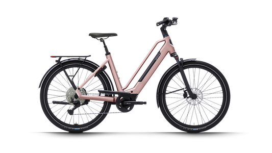 Dutch ID Maze - E-Bike - Damenrad - Rose Pink
