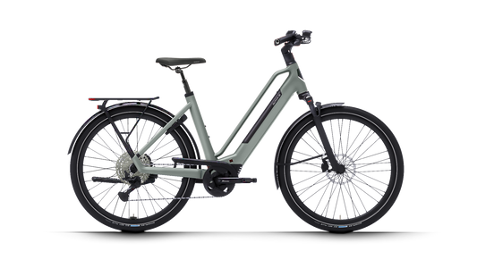 Dutch ID Maze - E-Bike - Damenrad - Sage Green