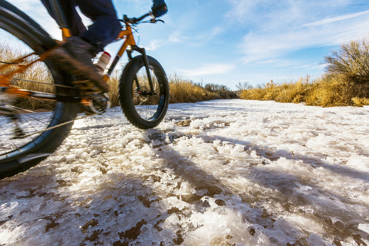 Fatbikes