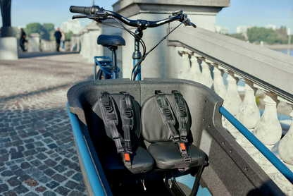Batavus Fier Sitzpolster auf der Sitzbank in der Transportbox