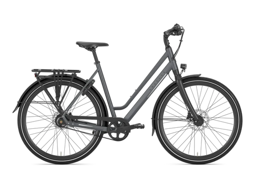 Gazelle Chamonix S11 28 Zoll Herrenrad Cloud Grey Matt – Seitenansicht