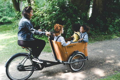 Babboe Curve Mountain E-Lastenrad 2026 – Seitenansicht