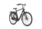 Gazelle Esprit – Herrenrad mit Nabendynamo und Rücktritt – Black Mat