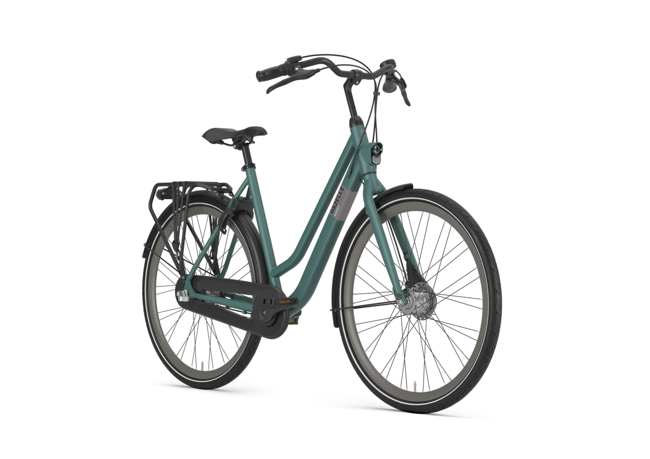 Gazelle Esprit L – Damenrad mit Nabendynamo – Thyme Green Mat