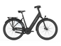 Batavus Finez E-go® Power Exclusive Plus RT 750 Low E-Bike 2025 – Vulcany Black Matt