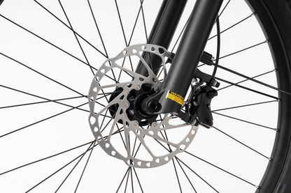 Ghost E-Teru Advanced EQ Low E-Bike, Schwalbe Johnny Watts Reifen