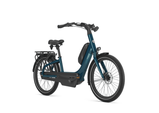 Gazelle Easyflow C7 - E-Bike Fahrrad - Pine Green - 2026