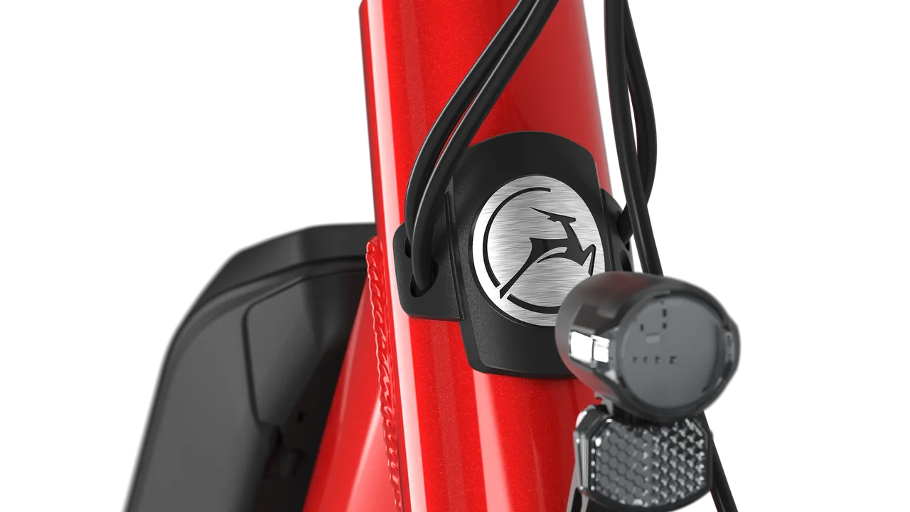 Gazelle Medeo T9 Damenrad Champion Red – Detailansicht Bosch Display