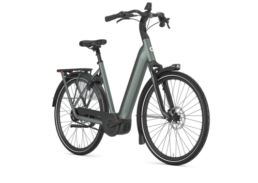 Gazelle Arroyo C5+ Elite First Edition E-Bike Damenrad Twilight Green – Detailansicht