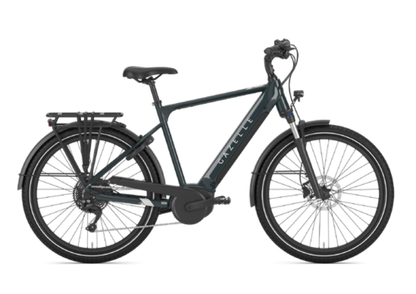 Gazelle Medeo T10 E-Bike Herrenrad in Pine Green – Seitenansicht