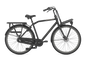 Gazelle HeavyDutyNL 3-Gang – Herrenrad mit Nabendynamo – Black