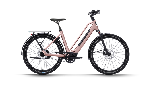 Dutch ID Maze - E-Bike - Damenrad - Rose Pink