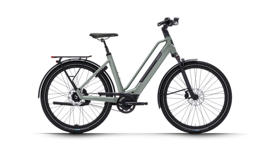 Dutch ID Maze - E-Bike - Damenrad - Sage Green