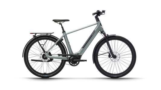 Dutch ID Maze - E-Bike - Herrenrad - Sage Green