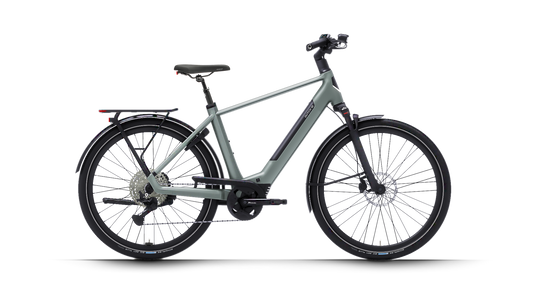 Dutch ID Maze - E-Bike - Herrenrad - Sage Green
