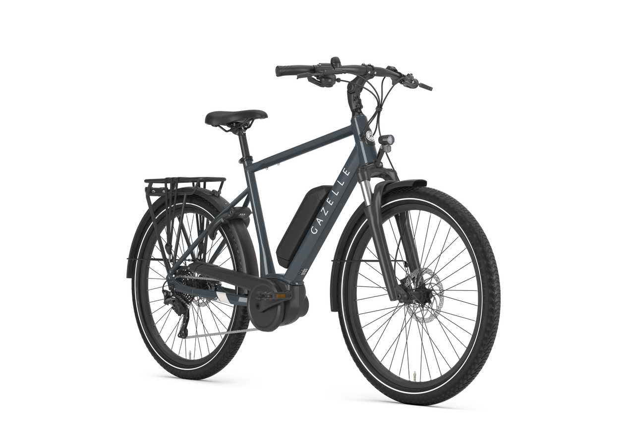 Gazelle Medeo T9 Thunder Grey – Detailansicht Bosch Purion 200 Display