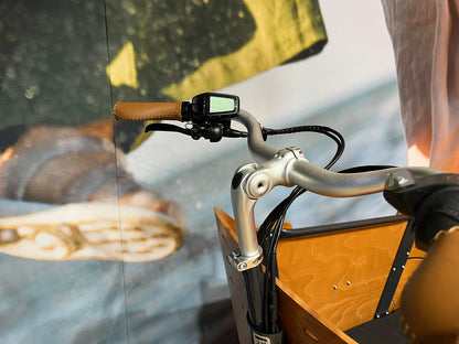 Babboe Curve Mountain 2026 – Neuer Lenker und verstellbarer Vorbau