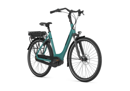 Gazelle Paris C8 Low-Step 28 Zoll in Thyme Green Matt – Gesamtansicht mit Shimano Nexus 8-Gang