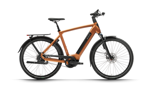 Dutch ID Phantom - E-Bike - Herrenrad - Matt Copper