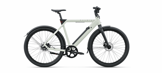 Raleigh ONE - High Herrenrad - E-Bike - 2026
