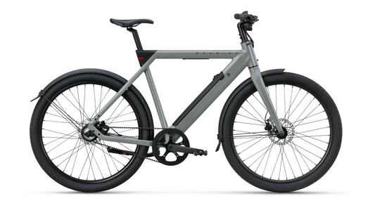 Raleigh ONE - High Herrenrad - E-Bike - 2026