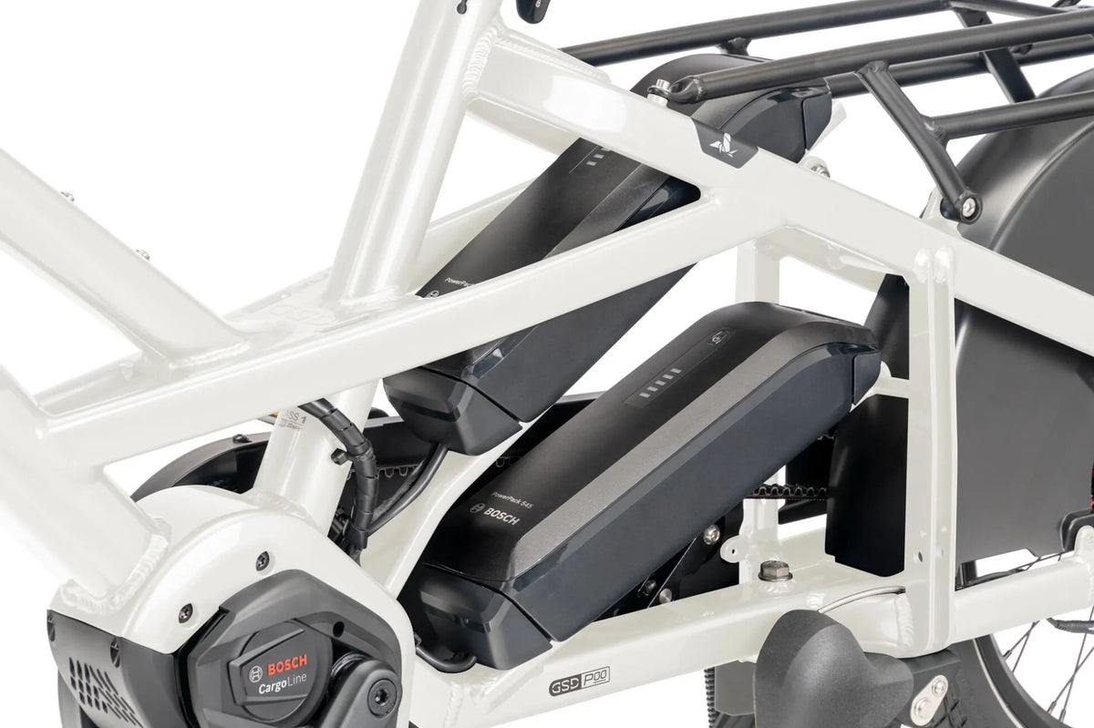 Tern GSD P00 Gen. 3 – Bosch PowerPack Akku mit DualBattery-Aufnahme