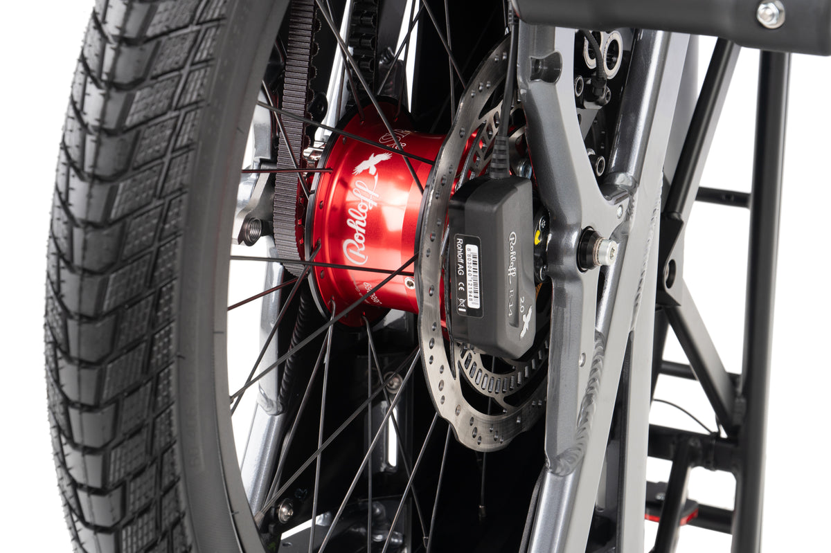 Tern GSD R14 Gen. 3 – Rohloff E-14 Nabenschaltung mit Gates-Riemen