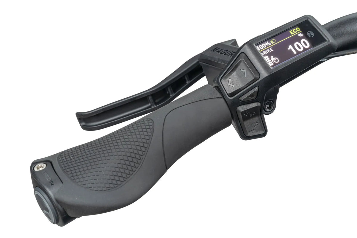 Tern HSD P00 – Bosch Purion 200 Display