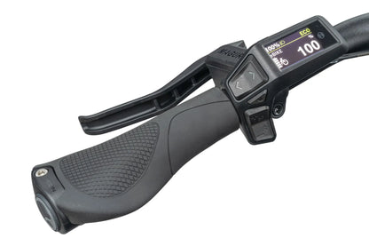 Tern HSD P00 – Bosch Purion 200 Display