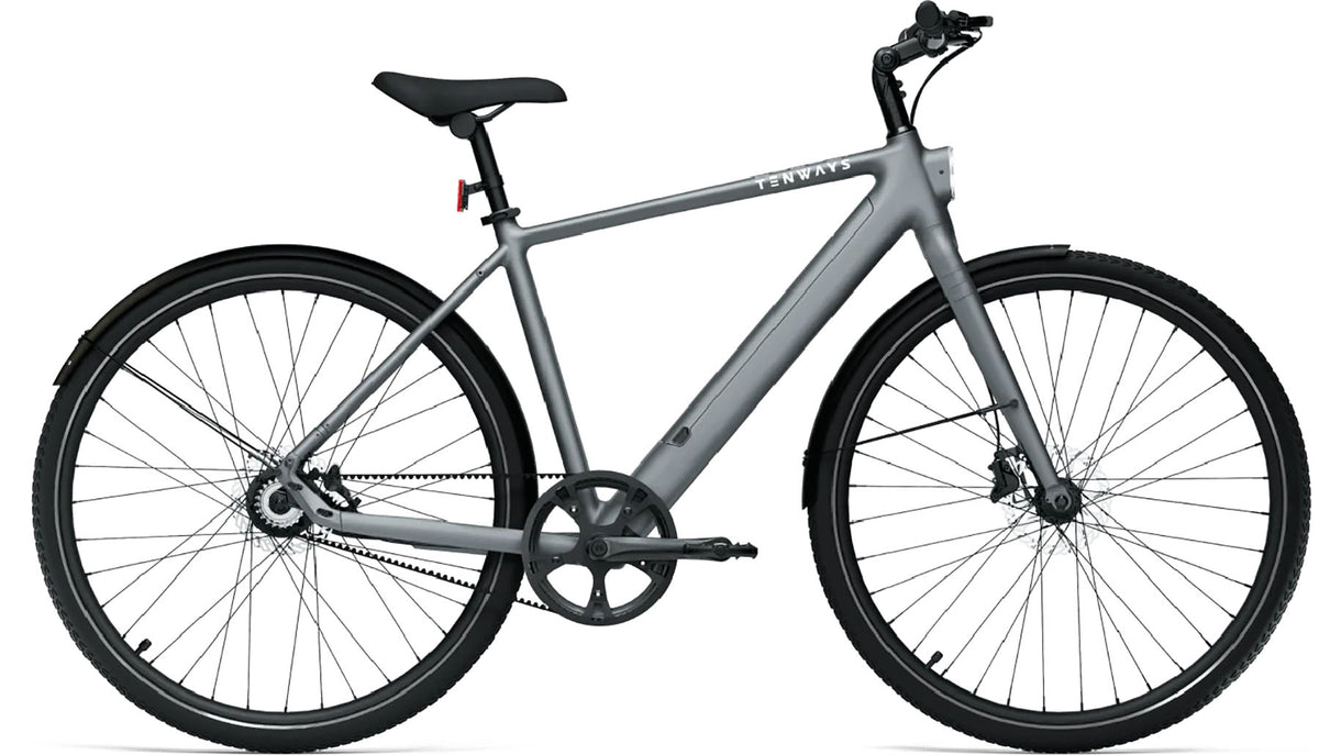 Tenways CGO600PRO Diamant E-Bike – Grau RH 46 cm | Cycle-Lounge Düsseldorf