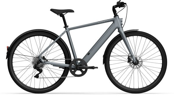 Tenways CGO600Plus Diamant E-Bike – Grau | Cycle-Lounge Düsseldorf
