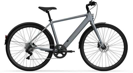 Tenways CGO600Plus Diamant E-Bike – Grau | Cycle-Lounge Düsseldorf