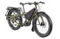 Tern Orox S12 29 Zoll – Schräge Frontansicht in Pine