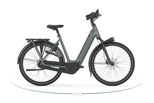 Gazelle Arroyo C8+ Elite E-Bike Damenrad in Twilight Green Matt