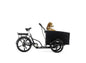 Cargobike Classic Dog E-Lastenrad mit Hund in der Transportbox – schwarzes Dreirad Seitenansicht