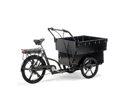 Cargobike Classic Kindergarten – Lenker mit Display und Bremsgriffen