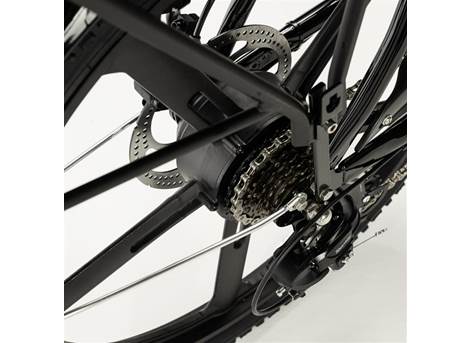 Cargobike Classic E-Lastenrad Dreirad schwarz – Produktansicht 7