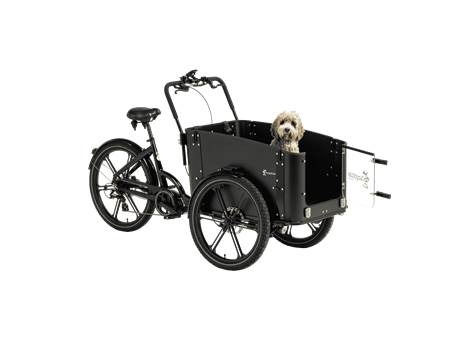 Cargobike DeLight Dog – Sperrholz-Transportbox mit Fronttür und Sitzbank für 2 Kinder