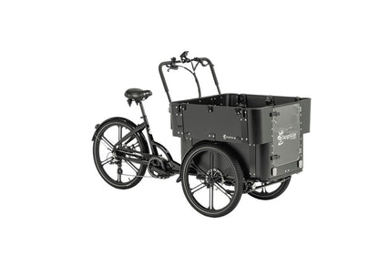 Cargobike DeLight Kindergarten Dreirad-Lastenrad schwarz – Schrägansicht mit Box und Verdeckbügeln