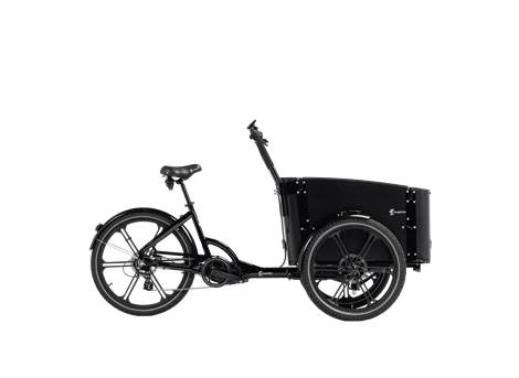 Cargobike DeLight – Sperrholz-Transportbox mit Kindersitzen und 3-Punkt-Gurten
