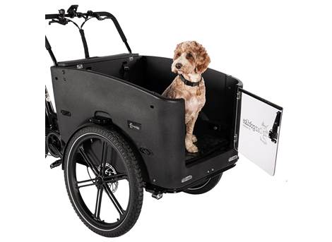 Cargobike Delight Nova Dog – LED-Beleuchtung und USB-Anschluss am Lenker