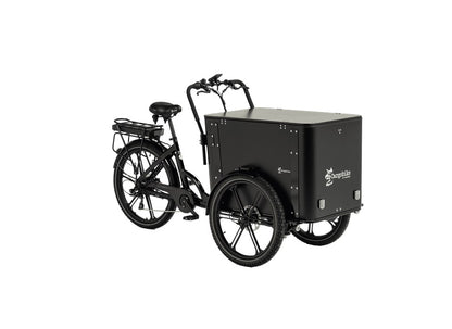 Cargobike Flex Box E-Lastenrad Dreirad schwarz – Seitenansicht links mit geschlossener Transportbox