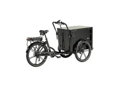 Cargobike Flex Box E-Lastenrad Dreirad schwarz – Schrägansicht links hinten mit geschlossener Transportbox