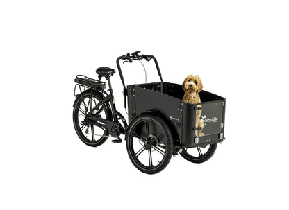 Cargobike Flex Dog Dreirad-Lastenrad schwarz – Gesamtansicht mit Hund