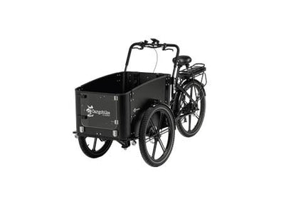 Cargobike Flex Dog – 461 Wh Akku auf dem Gepäckträger, abnehmbar