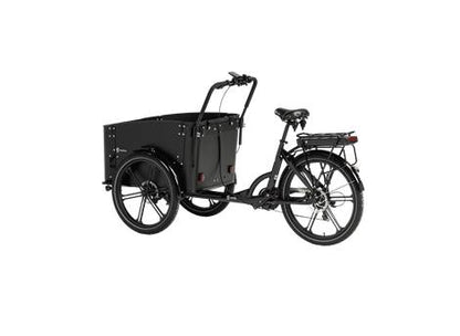 Cargobike Flex Dog – Farbdisplay mit Akkustand und USB-C am Lenker