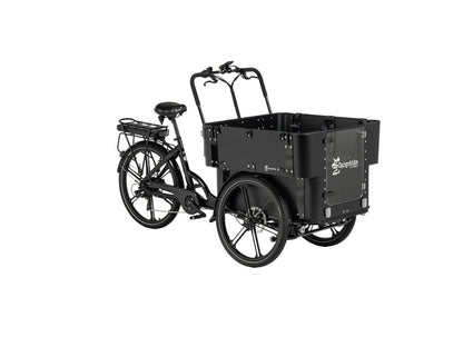 Cargobike Flex Kindergarten E-Lastenrad Dreirad schwarz – Schrägansicht mit geöffneter Fronttür der Transportbox