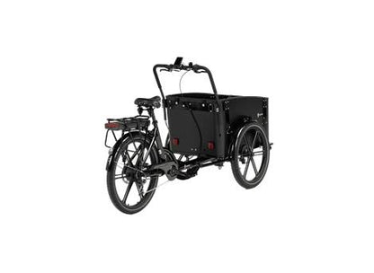 Cargobike Flex – Familie mit Kindern beim Einsteigen in die Box